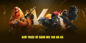 Bí Kíp Chơi Đá Gà WS168 Tại Nohu52 Thắng Lớn Mỗi Ngày