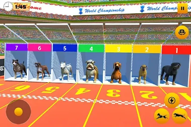 Bí Quyết Chơi Game Đua Chó Nohu52 Thắng Nhanh Chớp Nhoáng 2 Bí Quyết Chơi Game Đua Chó Nohu52 Thắng Nhanh Chớp Nhoáng