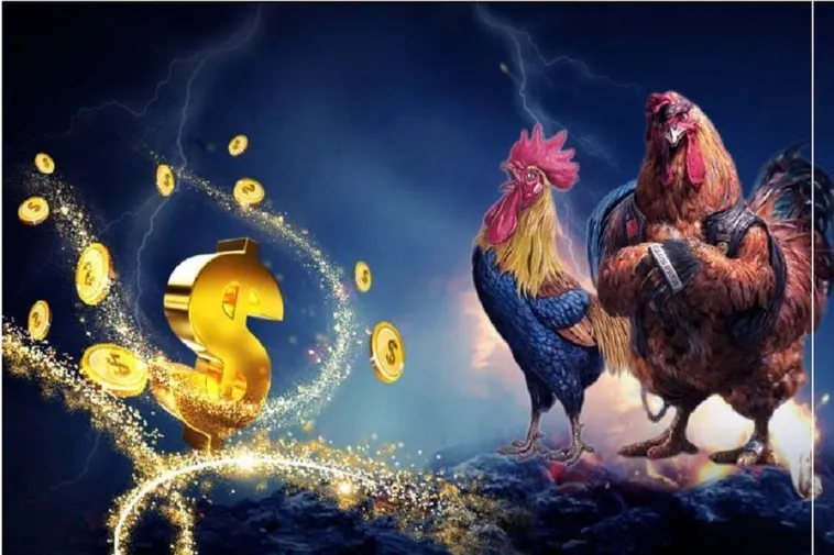 Đá Gà Nohu52 Đấu Trường Kê Thủ Chuyên Nghiệp Bất Bại