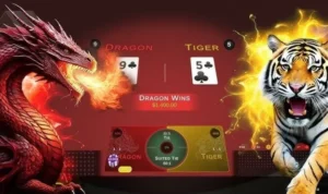 Chinh Phục Dragon Tiger Tại Nohu52 Rinh Thưởng Bạc Tỷ 8 Chinh Phục Dragon Tiger Tại Nohu52 Rinh Thưởng Bạc Tỷ