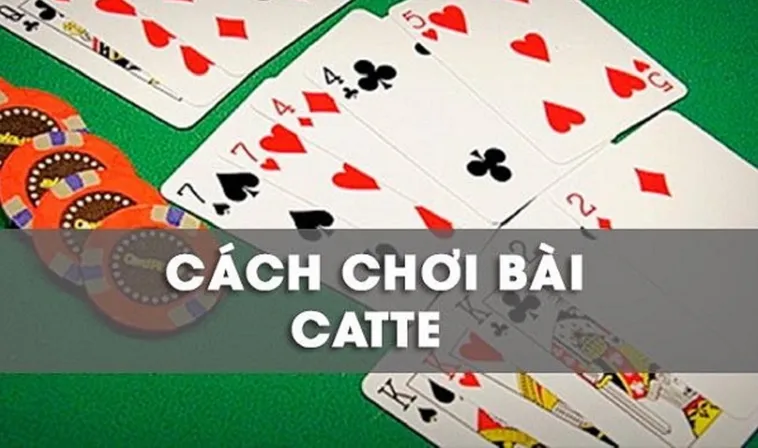 Cao Thủ Hướng Dẫn Cách Chơi Sắc Tê Nhà Cái Nohu52 Bất Bại 2 Cao Thủ Hướng Dẫn Cách Chơi Sắc Tê Nhà Cái Nohu52 Bất Bại